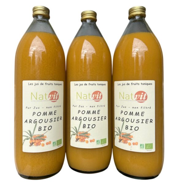 Pur jus pomme argousier x3