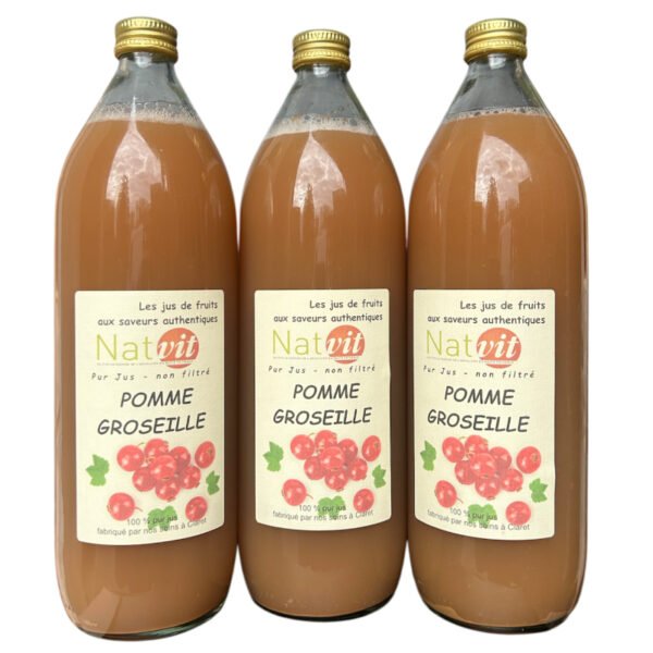 Pur jus Pomme Groseille BIO 1L
